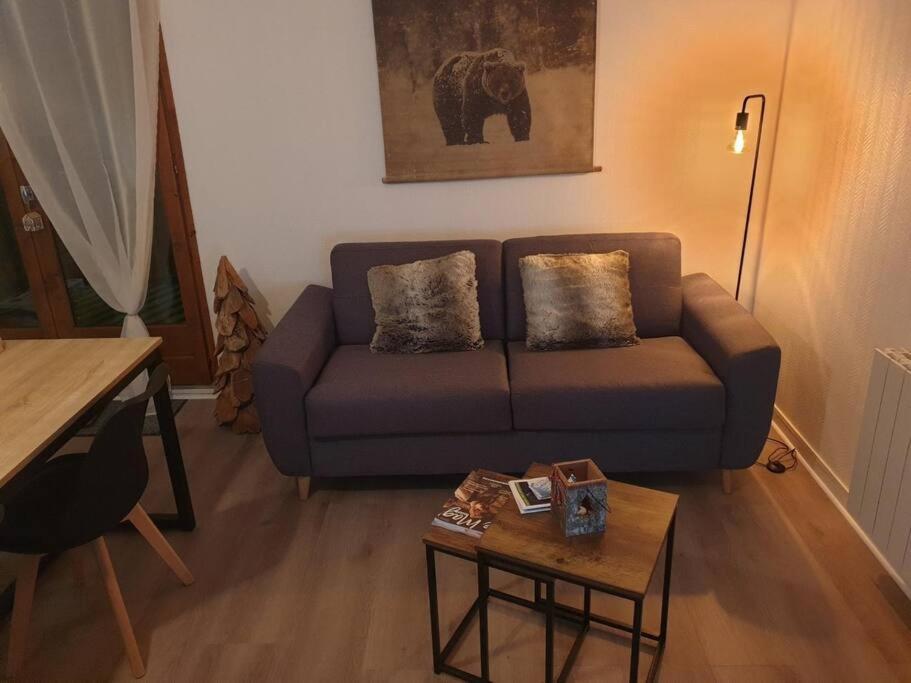 Appartement Au Pied Des Telecabines Res La Soulan Bagnères-de-Luchon Exterior foto